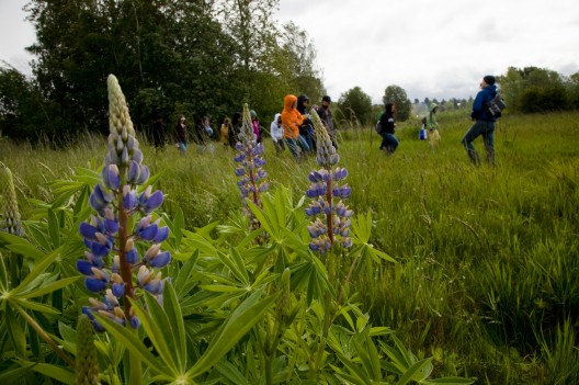 Environment class at Union Bay Natural Area, University of Washington