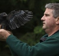 John Marzluff with crow