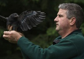 John Marzluff with crow