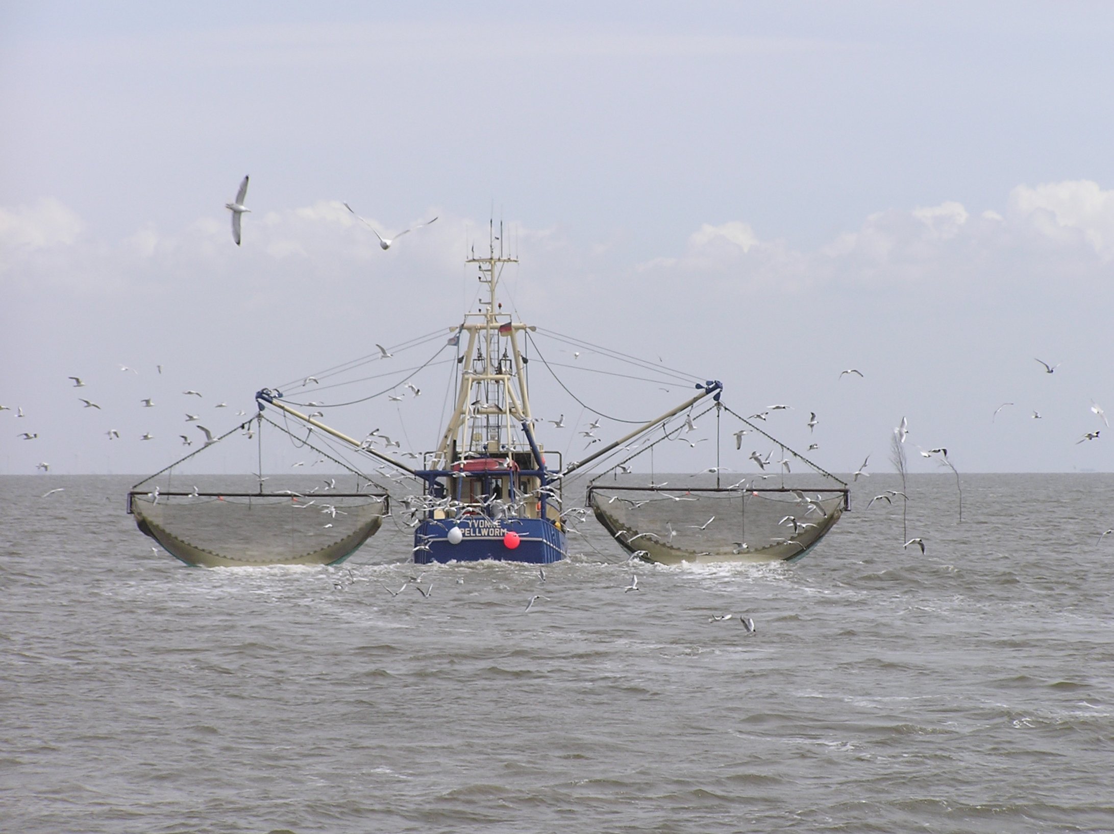 Fishing vessel at work (photo: Jom)