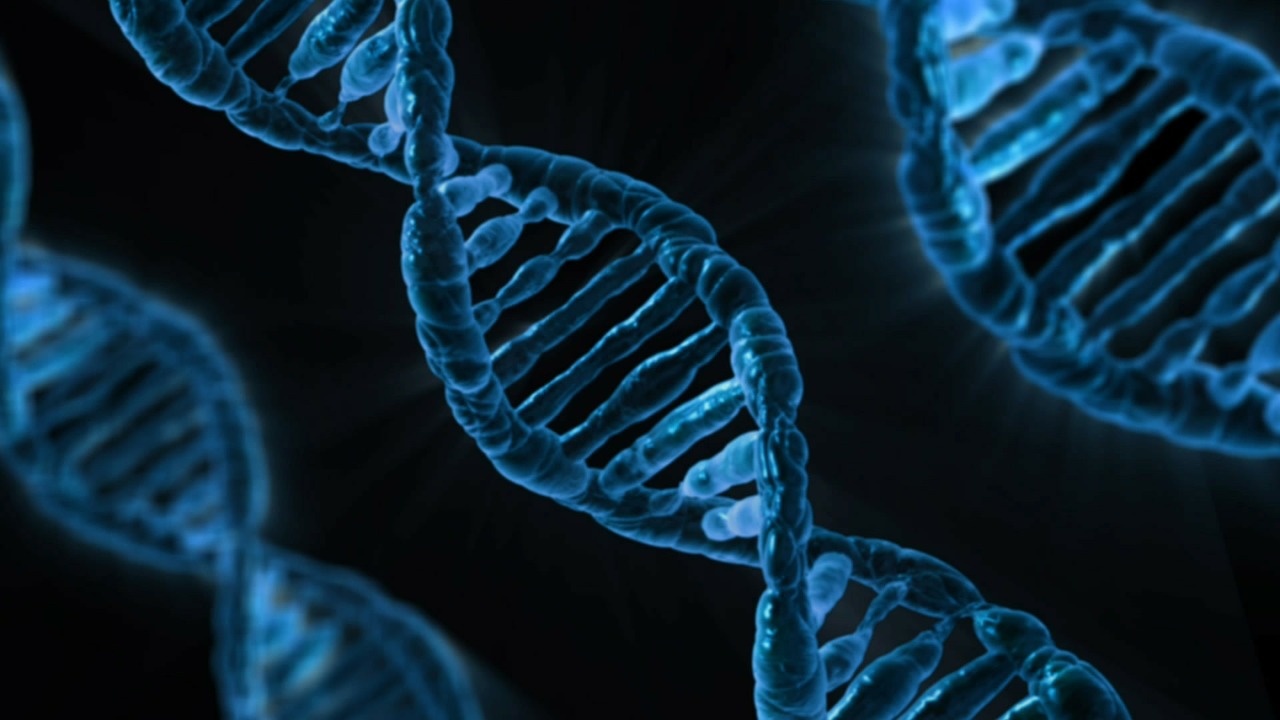 DNA (photo: Pixabay)