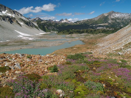 Alpine ecosystem in the high Cascades