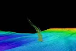Sonar image of bubbles rising from the seafloor off the Washington coast.