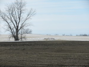 N Dakota famr field and melting snow