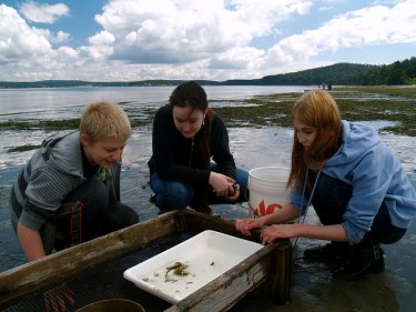 San Juan Island 6th Graders check out the animals they found in Griffin Bay.