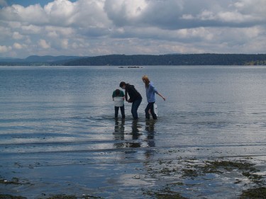 Students collect invertebrates and fish at the water's edge.