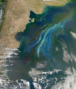A plankton bloom following ocean currents off Patagonia in December 2010.