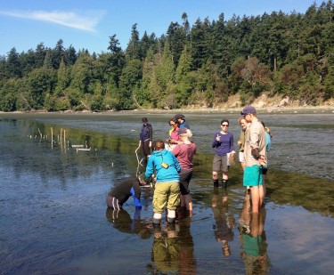 Students in the Ecology of Infectious Marine Diseases course working in the field.