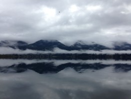 A cloudy, foggy Lake Quinault, by the field sites, in late October just before the start of the campaign.