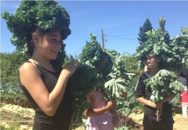 Kids get creative with kale in an urban garden in Tacoma, Washington.
