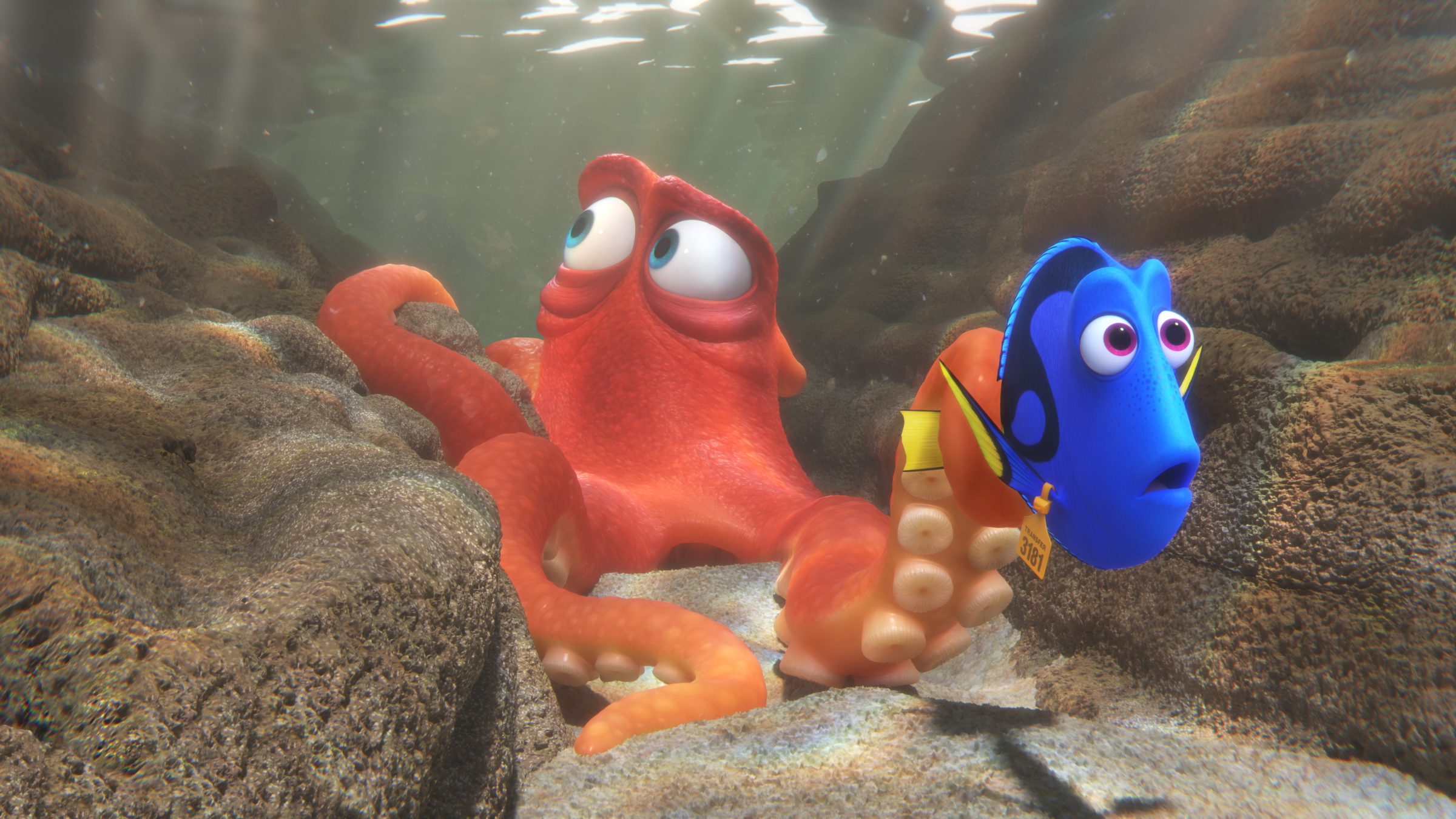 Adam Summers advises Pixar on fish movements in new 'Finding Dory' film |  College of the Environment