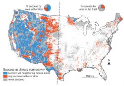 This shows the regions of the U.S. from which plants and animals will be able to escape predicted climate change. Blue areas are where they will be able to succeed given current conditions, orange areas are where they will be able to succeed only if they can cross over human disturbed areas, and gray areas are areas where they cannot succeed by following climate gradients.