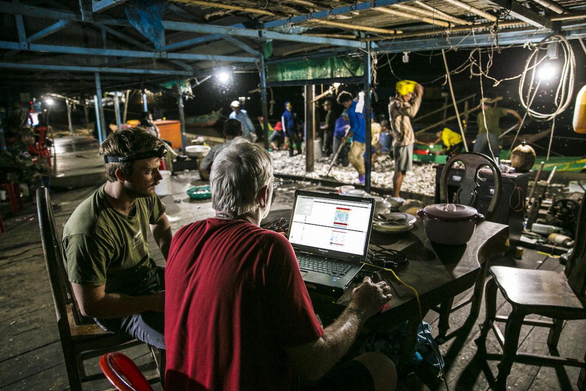 At night, people scoop fish from the dock as two researchers look at a laptop displaying data