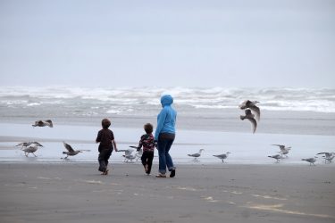 A woman and kids on the beach.