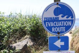 A circular tsunami evacuation sign in front of a grassy coastline