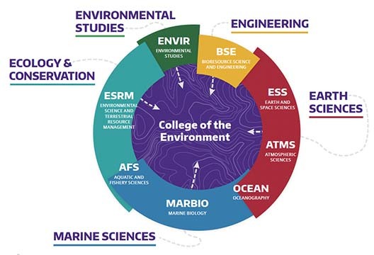 Graphic showing different majors in the college