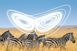 A data visualization overlaying a photo of a herd of zebra.