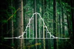 A data visualization overlaid on a photo of a forest.