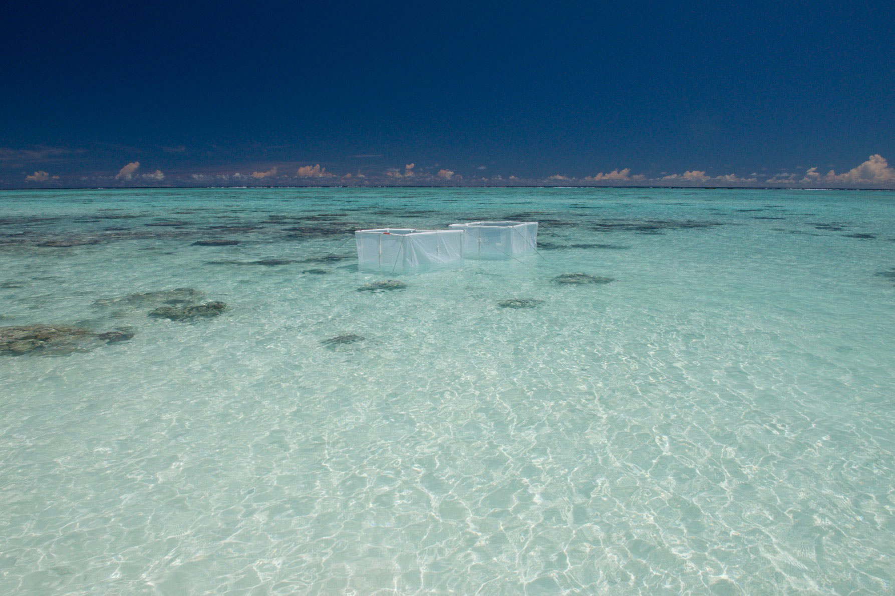 two boxes float in the ocean