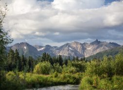 Alaskan stream against a backdrop of trees and mountains