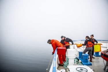 Oceanography students and scientists on the R/V Rachel Carson conduct research on zooplankton behavior in response to changing environmental conditions.