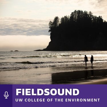 FieldSound logo with photo of Washington coast