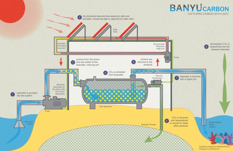 A schematic graphic showing how Banyu’s carbon removal technology works.