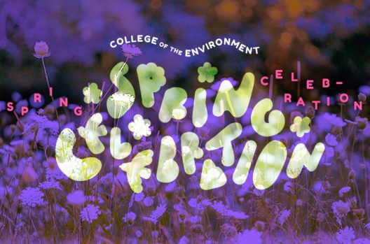 a graphic reading spring celebration