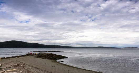 water with beach and sky